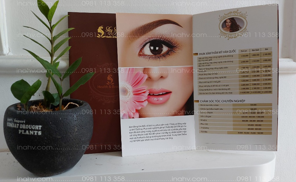 Mẫu in Brochure spa